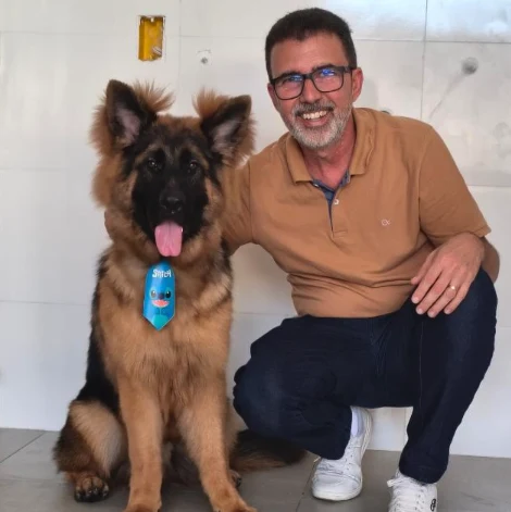 Foto de Primus Imóveis